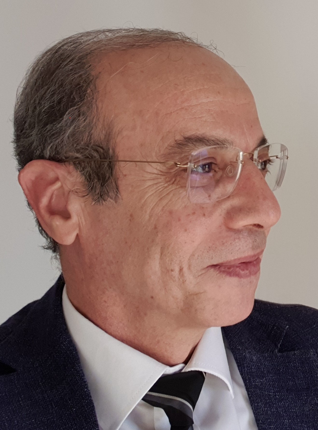 Ahmed A. El Danaf