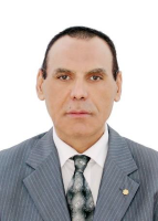 Waleed Hamdy Elsanhoury