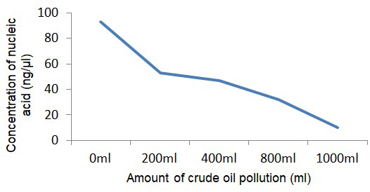 Figure 1: Plot of effect of crude oil on the concentration of nucleic acid. The application of crude oil on the soil consistently decreased the mean concentration of nucleic acid from 92.83 ng/µl, for the control treatment, to the lowest mean concentration of 9.77 ng/µl, for the 1000ml crude oil treatment. This shows an 89.41% decrement in concentration of nucleic acid, compared to the control. This shows that, compared to the control, the concentration of nucleic acid decreased with increase in the amount of crude oil pollution.