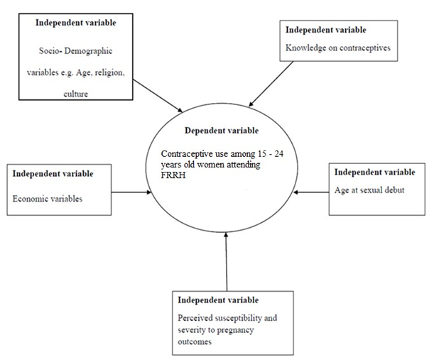Figure 1: Conceptual Framework