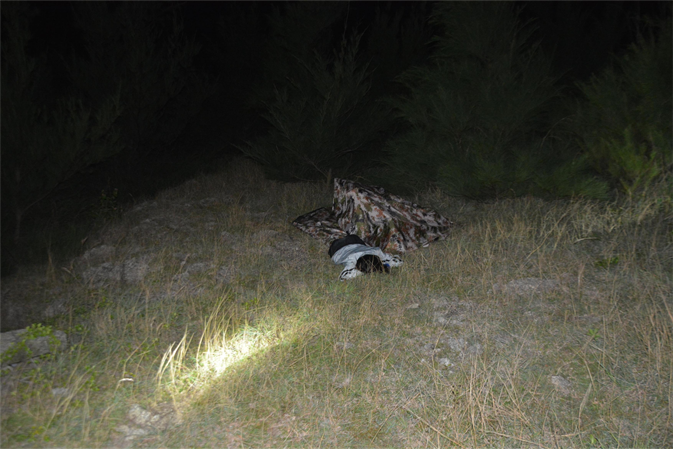 Figure 1: The scene, the body was located near a forest in the wild.