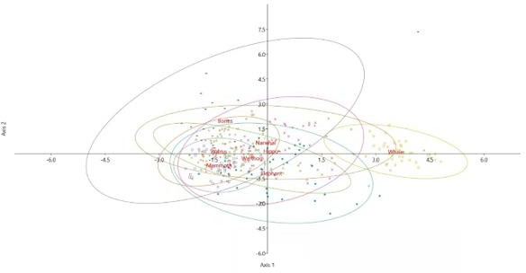 Figure 5: The variables selected here were LE, Ca, Ni, Zn, and Sr. Fe was eliminated due to the significant variability observed within species. The performance index in this case is 45.67 %. The model shows that the species of origin of an ivory item cannot be identified based on its elemental composition using a SciAps X-50 handheld XRF spectrometer.