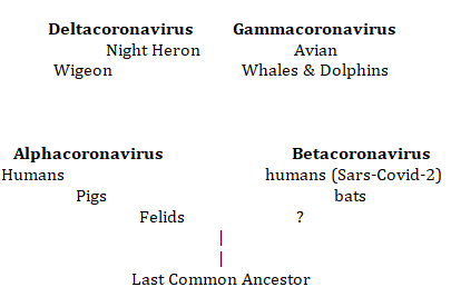 Figure 1: Derived from Devika S, et al. [12] separation of 4 groups dates to 2400 to 3000 B.C.E.