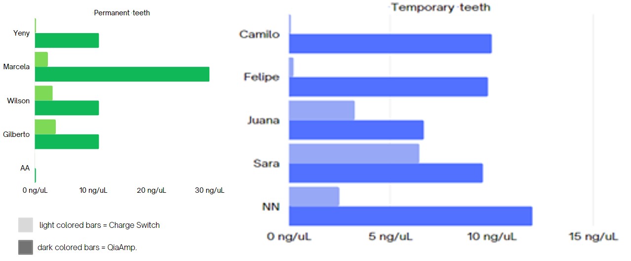 Figure 2: Quantification of the genetic material obtained after extraction with the different methods used. The light colored top bars represent the quantification of the extracted DNA with Charge Switch, while the dark colored bottom bars represent the quantification after extraction with QiaAmp. * the cuatification was performed by fluorometry with a Qubit fluorometer. ** the names of the samples are pseudonymous donors.