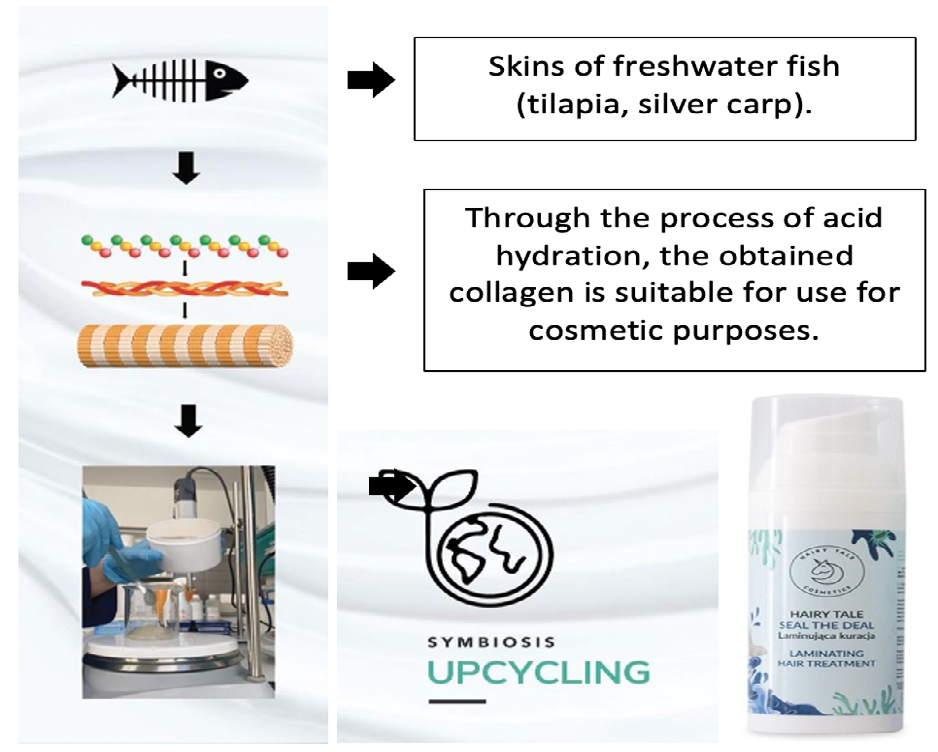 Figure 2: Hair lamina product using fish skin waste from which collagen is produced [4,5].