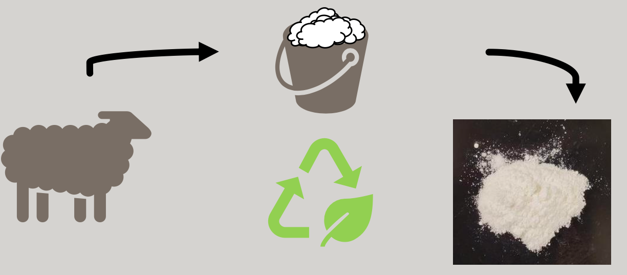 Figure 7: The use of sheep wool waste in cosmetics [11].