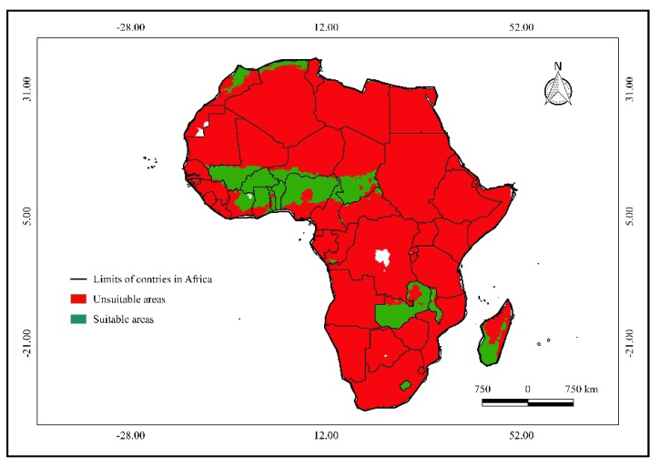 Figure 7: Projection of the spatial distribution of Anogeissus leiocarpa at horizon 2055 under rcp 4.5 and 8.5 scenarios with Maxent: a) in Africa; (b) in Benin.