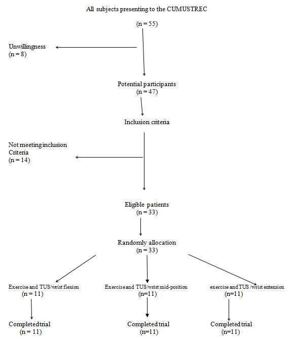 Figure 1: Flow chart of the study.