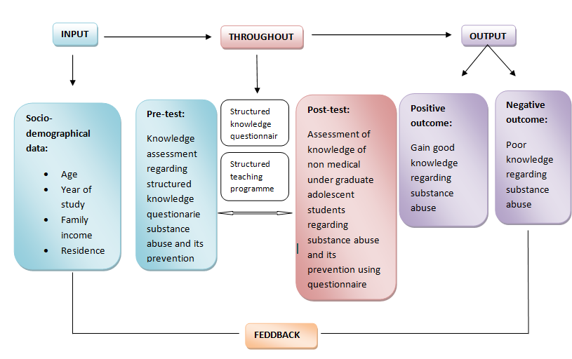 Figure 1: Conceptual Framework.