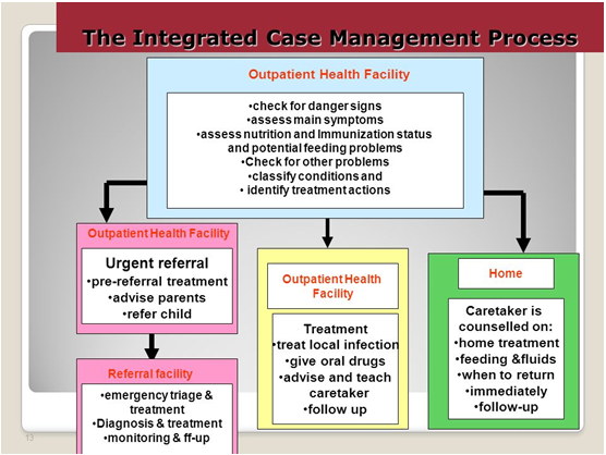 Figure 4: The integrated case management process.