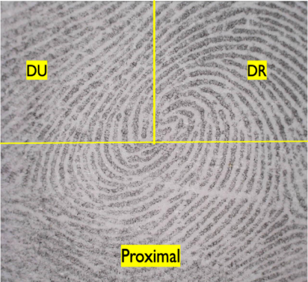 Figure 1: Areas of the Study.