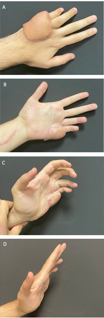 Figure 6