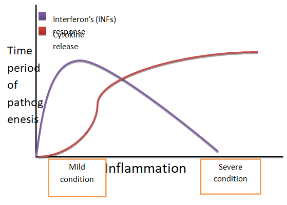 Figure 2: Mechanism related to the entry of pathogen and inflammation process.