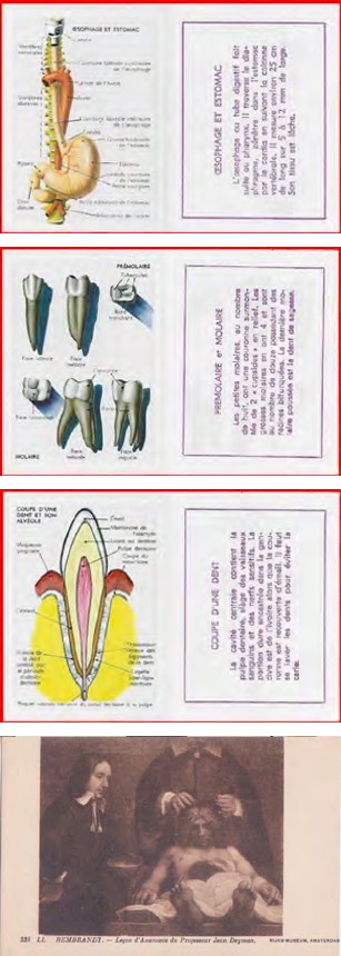 Figure 18
