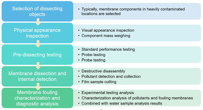 Figure 1: Flow chart of membrane component dissection analysis.