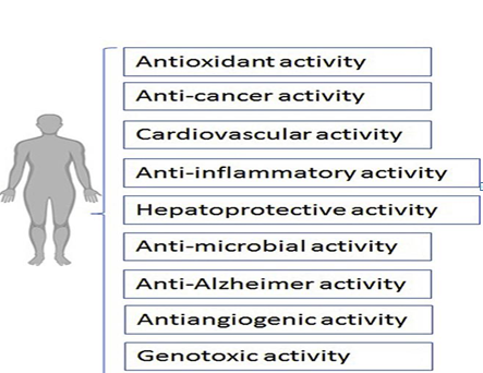 Figure 3: Pharmacological benefits of Taxifolin.