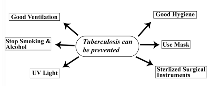 Figure 3: Tuberculosis Preventions.