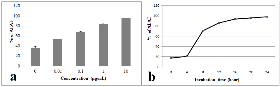 Figure 4: Leakage of ALAT from the rat liver slices: a. incubated in the presence of cisplatin at different concentrations for 4 hours b. incubated in the absence of cisplatin for 24h.