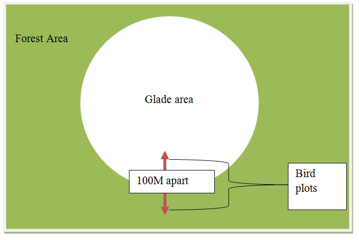 Figure 1: Schematic presentation of plots located 100 meters apart, with one being located in the forest and the other being located in the area of the glade invaded by forest.
