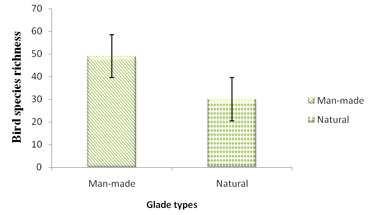 Figure 2: Comparison of bird species richness between man-made glades (49) and natural glades (30).
