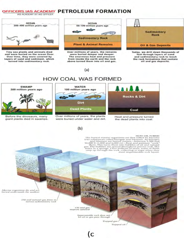 Figure 15: The organic origin theory of fossil energy carriers based on the decomposing of the complex organic matter found in dead plants and animals [35,36].