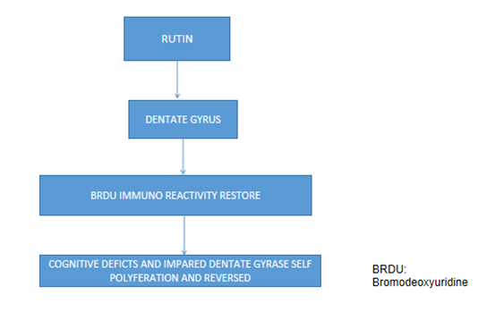 Figure 13: Neuroprotective Activity.
