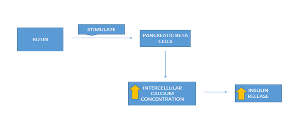 Figure 14: Type 2 diabetes activity.