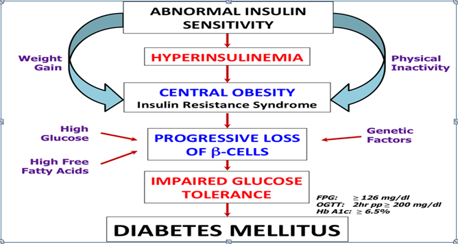 Figure 3: Mechanism of Diabetes Mellitus.