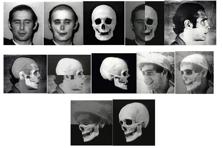 Figure 1: Digital skull-photograph comparison.