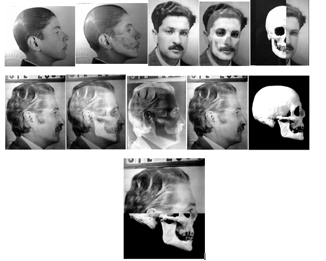 Figure 6: Vertical and horizontal matches between unknown skulls.
