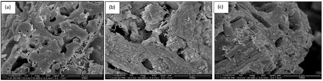 Figure 2: FESEM micrographs of (a) RH-Ni (1%)-K(20%) (b) RH-Ni (5%)-K(20%) (c) RH-Ni (10%)-K(20%). Scale bars: 10 mm (a), 5 mm (b, c) Reproduced from Hazmi, et al. [41].