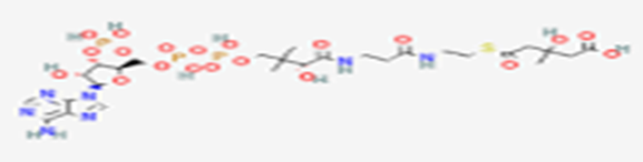 Figure 2: chemical structure of 3-Hydroxy-3- methylglutaryl-CoA.