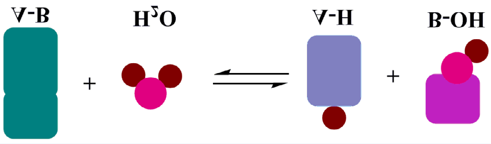 Figure 1: Hydrolysis reaction catalyzed by hydrolase [1].