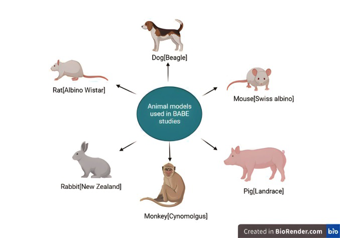 Figure 1: Animal models used in BABE studies.