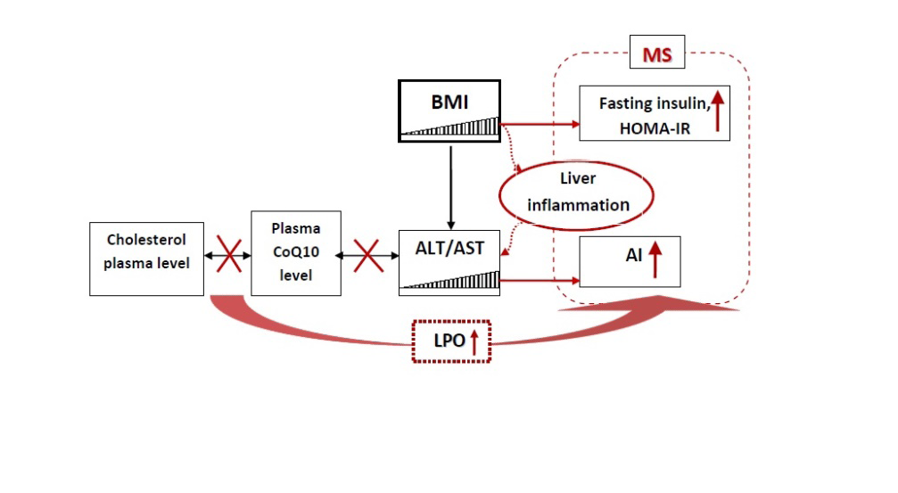Figure 6: Relationship between BMI and estimated biochemical indices in obese children and children with normal weight (the differences between groups are marked in red). BMI - body mass index; MS - metabolic syndrome; CoQ10 - coenzyme Q10; LPO - lipid peroxidation; AI- atherogenic index.
