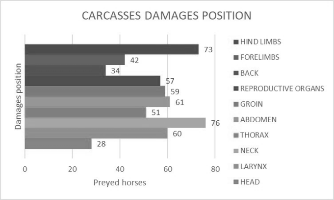 Figure 4: Wolf attacks: carcass damages position in the body of the preyed horses.