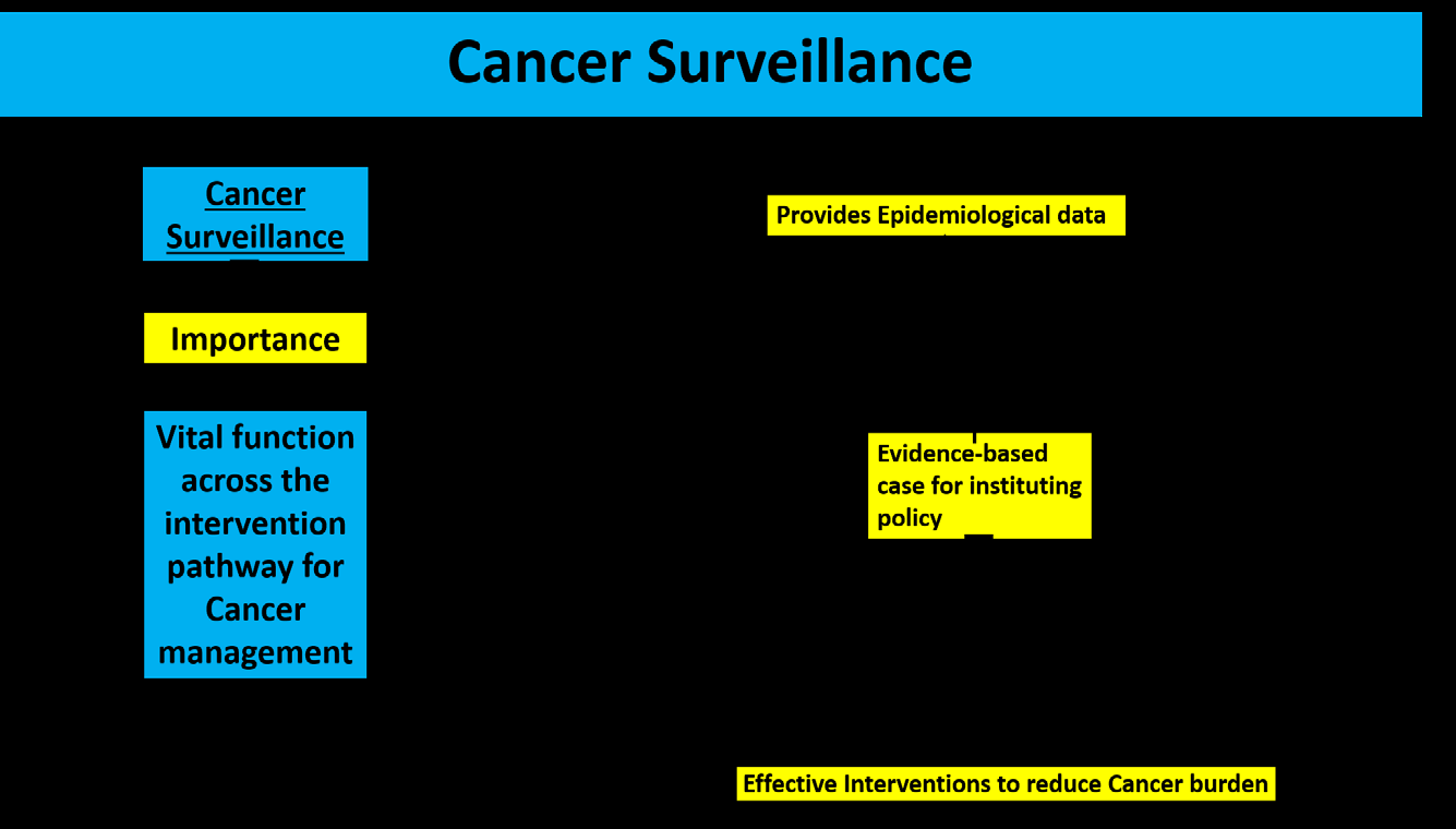 Figure 2: Conceptual Model for the Importance of Cancer Surveillance