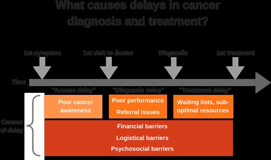 Figure 25: Illustration of the Directionality of Belize National Cancer Registry Redcap is the best way forward.