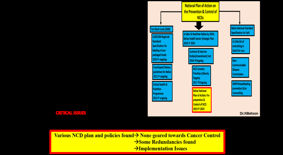 Figure 5: NCDs Plans and Policies.