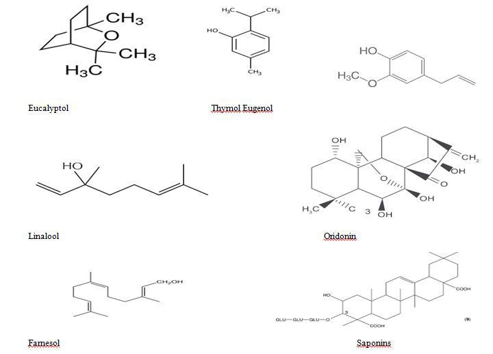 Figure 6: Biologically active terpenoids compounds.