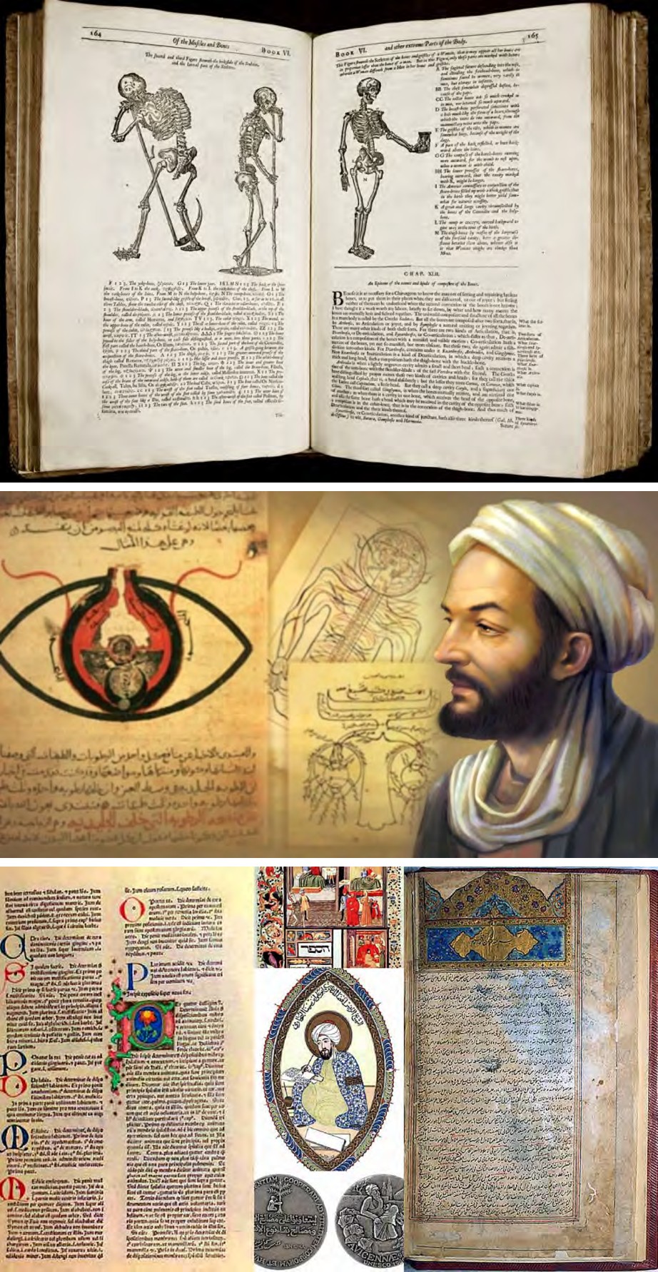 Figure 5: Books on anatomy belonging to Peter Camper.