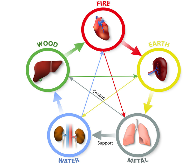 Figure 4: The five Elements theory.