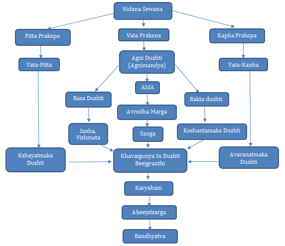 Figure 1: Flow chart of Probable Samprapti.