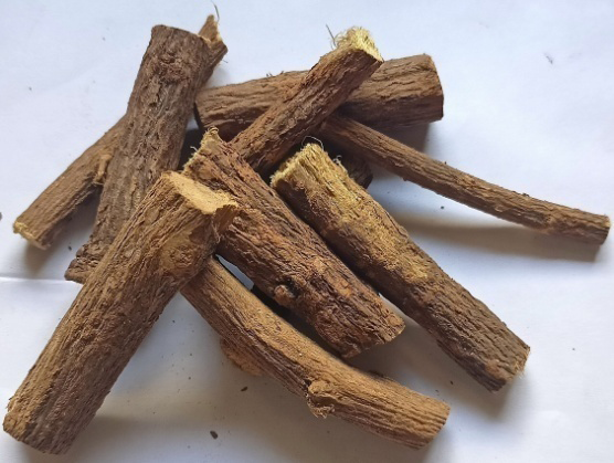 Figure 1: _G. glabra_ roots.
