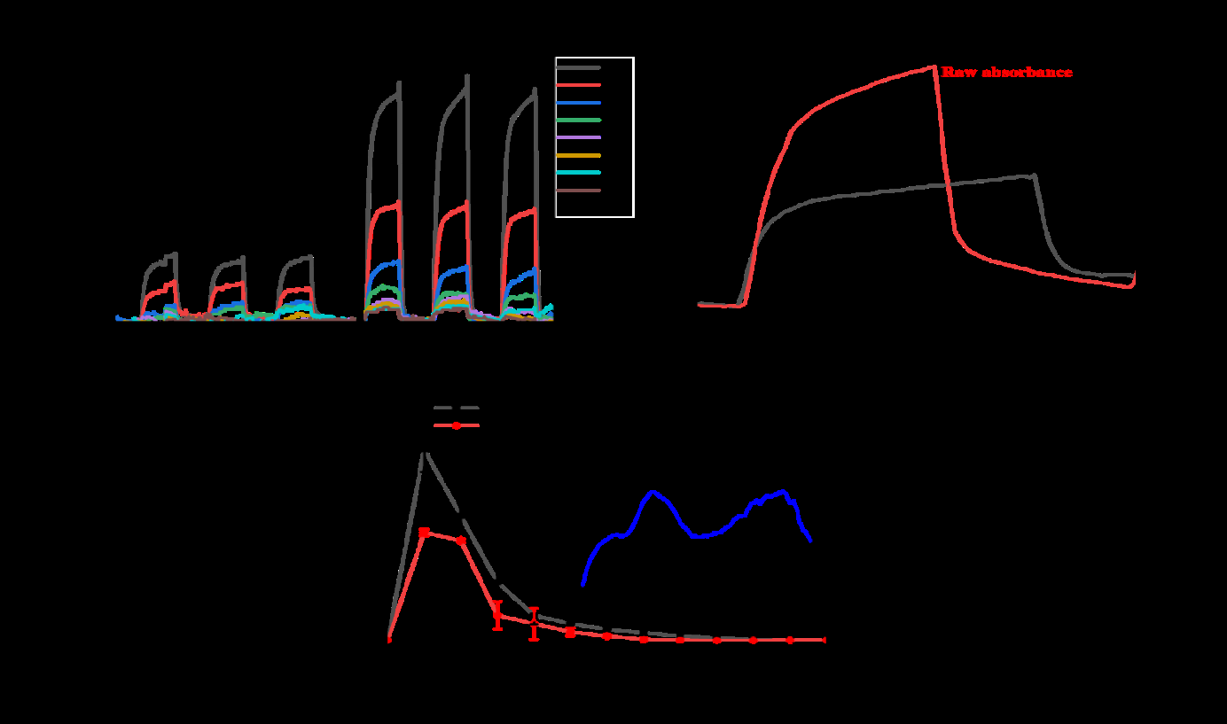 Figure 4: Diffraction pattern of AG.