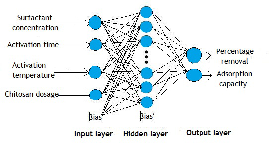 Figure 1: Artificial neural network structure of the hybrid adsorbent modelling process.