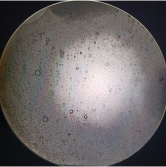 Figure 2: N1.