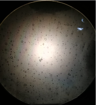 Figure 3: N4.