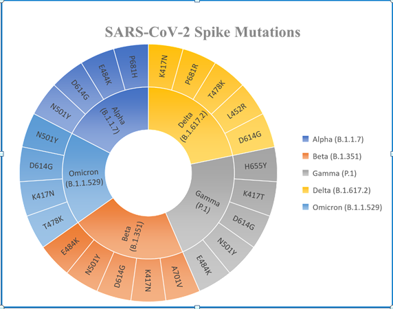 Figure 1: Mutations associated with the SARS-CoV-2 spike protein and the emergence of new variants i.e., Alpha, Beta, Gamma, Delta, and Omicron [32].