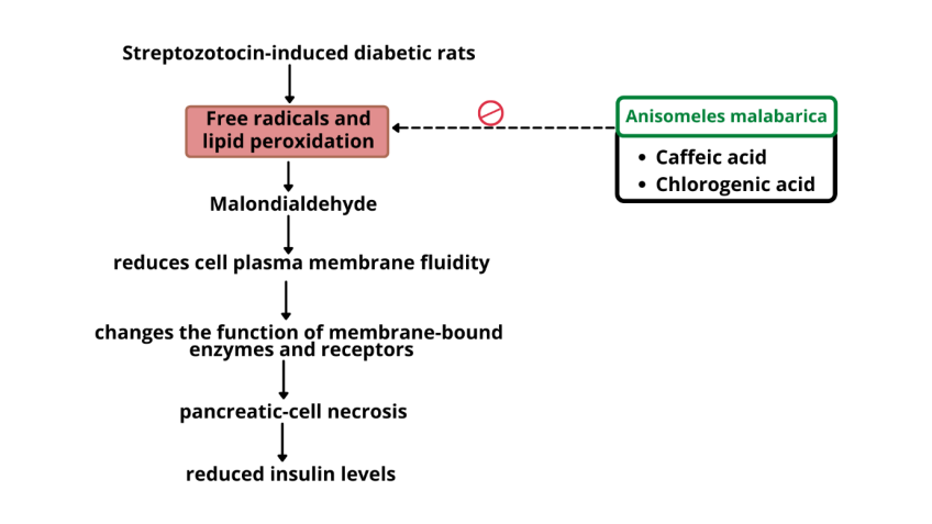 Figure 3: Showing the activity of _A. malabarica_ constituent’s caffeic acid, quinic acid, lutetolin, kaempferol, and chlorogenic acid preventing lipid peroxidation and reduces level of Malondialdehyde showing anti-diabetic activity by preventing pancreatic cell necrosis.